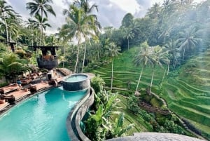 Ubud: Alas Harum, templo y cascada - tour privado