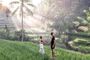Ubud: Alas Harum, templo y cascada - tour privado