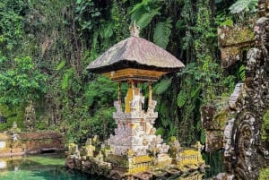 Ubud: Alas Harum, templo y cascada - tour privado