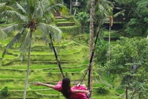 Ubud: Alas Harum, templo y cascada - tour privado