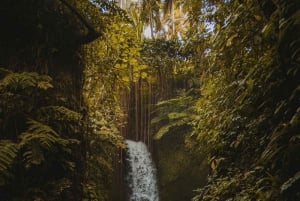 Ubud: Alas Harum, templo y cascada - tour privado