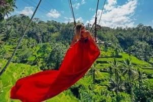 Ubud: Alas Harum, tempel och vattenfall på Bali – privat tur