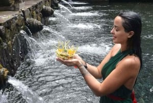 Ubud: Alas Harum, tempel och vattenfall på Bali – privat tur