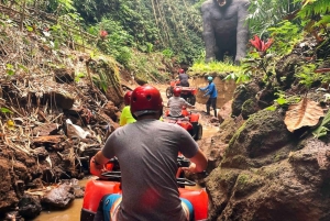 Ubud: Passeio de aventura em quadriciclo ATV com tudo incluído e almoço