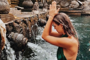 Ubud All Inclusive Day Tour