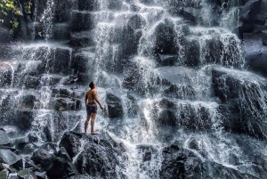 Ubud: Secret Waterfalls, Jungle Swing Private Tour