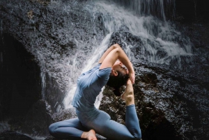 Ubud: Secret Waterfalls, Jungle Swing Private Tour