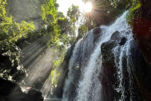 Ubud: Secret Waterfalls, Jungle Swing Private Tour