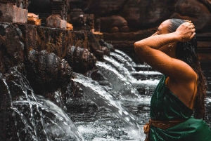 Ubud: All inclusive Tegallalang, Waterfall and Tirta Empul