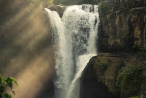 Ubud: All inclusive Tegallalang, vattenfall och Tirta Empul