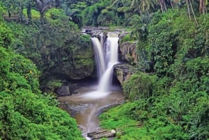 Ubud: All inclusive Tegallalang, wodospad i Tirta Empul