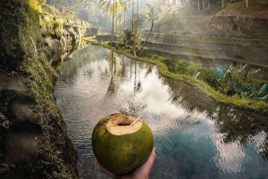 Ubud: All Inclusive Tour med valgfri frokost