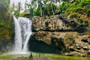 Ubud: All-Inclusive Tour with Optional Lunch