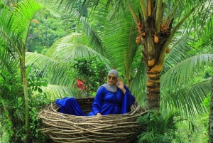 Ubud: Aloha Bali Swing inträdesbiljett