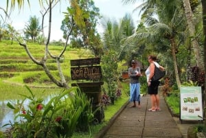 Ubud Ancient Wonders: Goa Garba, Cliff Temple & Yeh Pulu