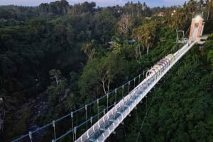 Ubud: Art & Nature Tour with Waterfall and Glass Bridge