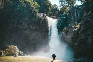 Ubud: Art & Nature Tour with Waterfall and Glass Bridge