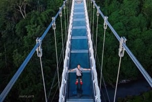 Ubud: Art & Nature Tour with Waterfall and Glass Bridge