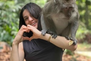 Ubud: Künstlerisches Abenteuer, heilige Affen und ländliche Ruhe