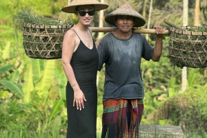 Ubud: Künstlerisches Abenteuer, heilige Affen und ländliche Ruhe