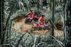 Ubud: aventura de ATV, cachoeiras, templo e passeio pela floresta dos macacos