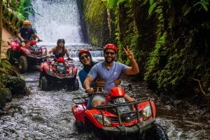 Ubud: aventura de ATV, cachoeiras, templo e passeio pela floresta dos macacos