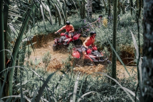 Ubud: aventura de ATV, cachoeiras, templo e passeio pela floresta dos macacos