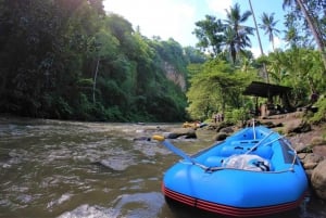 Ubud KUBER ATV Balis terrängbana Upptäck