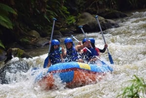 Ubud KUBER ATV Balis terrängbana Upptäck