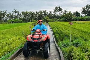 Ubud: ATV Quad Adventure with Gorilla Cave and Lunch