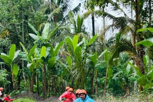 Ubud: ATV Quad Adventure with Gorilla Cave and Lunch
