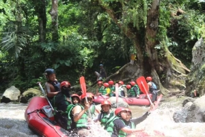 Ubud: ATV- og raftingtur med frokost og forsikring