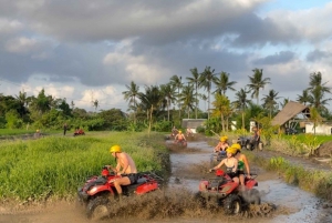 Tour exclusivo pelo Panamá