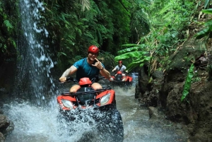 Ubud: ATV-firhjuling og raftingeventyr med lunsj