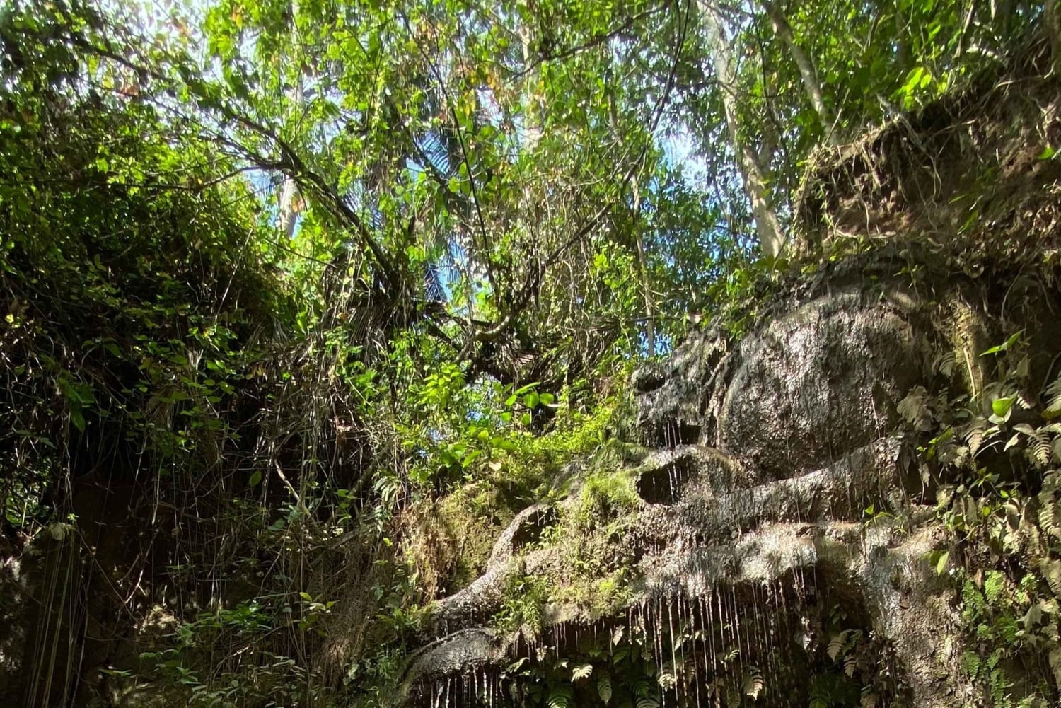 Ubud atv quad bike and white water rafting