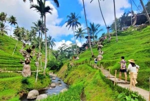 Ubud : quad, piscine Cretya et aventure en rafting