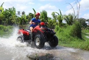 Ubud: ATV Quad Bike durch Fluss, Reisfelder und Wasserfall