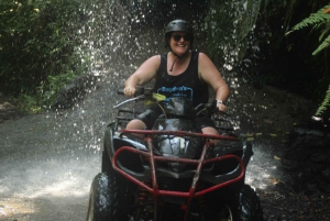 Ubud: Guided ATV Quad Bike Tour with Lunch