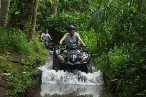 Ubud: Guided ATV Quad Bike Tour with Lunch