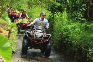 Ubud: Guided ATV Quad Bike Tour with Lunch