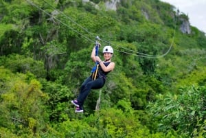 Ubud: ATV-firehjuling og zip-line-eventyr med måltid