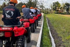 Ubud: ATV-firehjuling og zip-line-eventyr med måltid