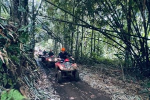 Ubud: ATV-firehjuling og zip-line-eventyr med måltid