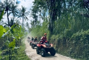 Ubud: ATV-firehjuling og zip-line-eventyr med måltid