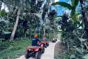 Ubud: ATV-firehjuling og zip-line-eventyr med måltid