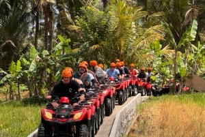 Ubud: ATV-firehjuling og zip-line-eventyr med måltid