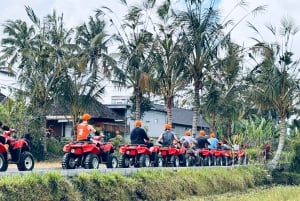 Ubud: ATV-firehjuling og zip-line-eventyr med måltid