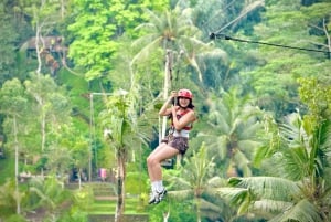 Ubud : tour en quad, tyrolienne et Alas Harum
