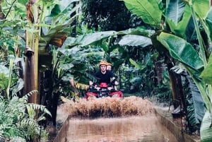 Ubud : tour en quad, tyrolienne et Alas Harum