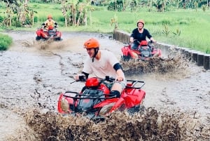 Ubud : tour en quad, tyrolienne et Alas Harum